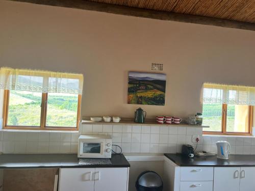 a kitchen with a counter with a microwave and two windows at Iron River Farm Self Catering in Heidelberg