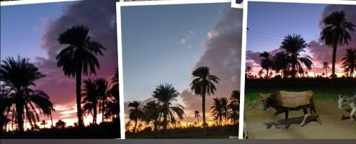 تونسي – Photos 2