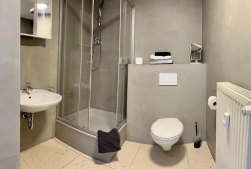 y baño con ducha, aseo y lavamanos. en Gemütliches 1-Zimmer Appartement, en Langen