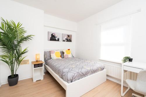a white bedroom with a bed and a potted plant at Super Modern 2BD Central Home in Belfast