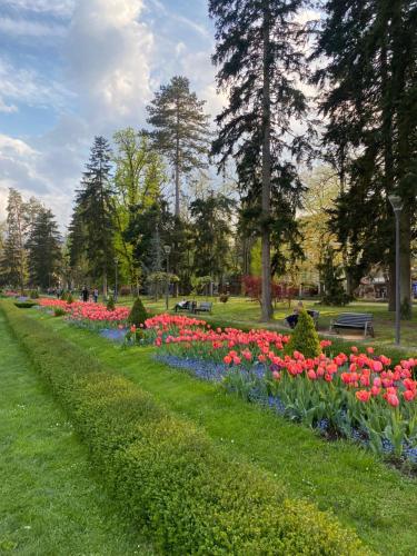 a garden with colorful flowers in a park at Gray apartman in Vrnjačka Banja