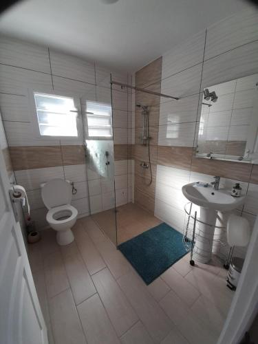 a bathroom with a shower and a toilet and a sink at La case Bouisseau du Sud Sauvage in Saint-Joseph