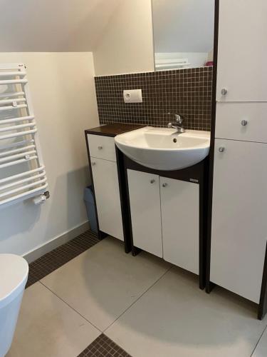 un bagno con lavandino e WC di Agroturystyka nad stawami a Szemud