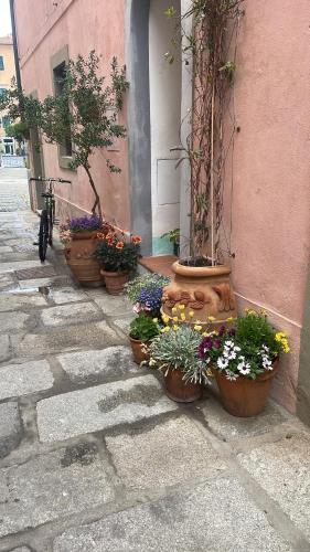un gruppo di piante in vaso situate all’esterno di un edificio di Appartamento chic Marciana Marina (Isola d’Elba) a Marciana Marina