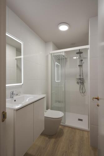 a bathroom with a shower and a toilet and a sink at Someso Apartamentos Turisticos in A Coruña