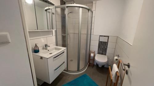 a bathroom with a shower and a sink and a toilet at Ferienwohnung Bad Harzburg Grubenweg 34 in Bad Harzburg