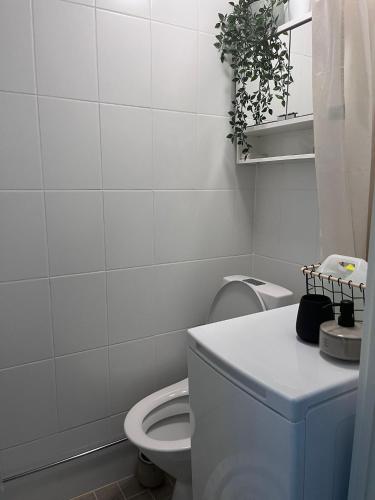 La salle de bains blanche est pourvue de toilettes et d'une plante. dans l'établissement Upea yksiö Kotkan Katariinassa, à Kotka