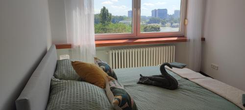 een kat op een bed naast een raam bij Danube Riverside Apartment with quite workplace in Bratislava