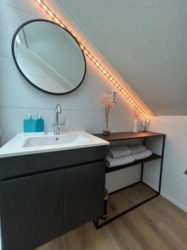 a bathroom with a sink and a mirror at Boetje 51 in Den Burg