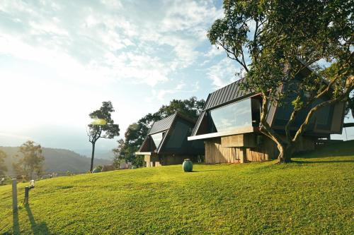 a house on a grassy hill with a tree at Mon Hmong in Chiang Mai