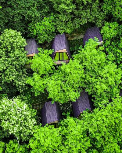 an overhead view of a group of cars in trees at Porto Gumati in Kutaisi