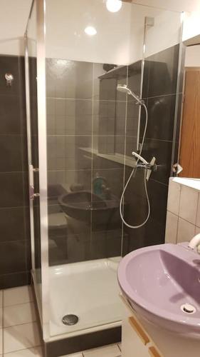 a bathroom with a shower and a sink at Heubüschl in Karsau