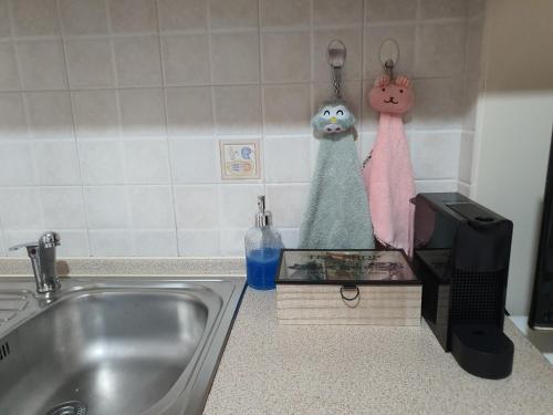 um balcão de cozinha com um lavatório e um toalheiro em Stergios_Apartments 01 em Kozani