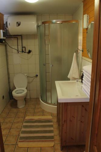 a bathroom with a shower and a toilet and a sink at Domek Wypoczynkowy OSTOJA in Baligród