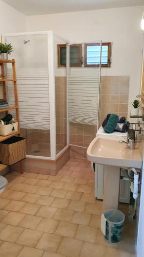 een badkamer met een douche en een wastafel bij Les Ti Kaz a Papé in Deshaies