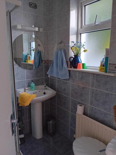 uma casa de banho com um lavatório e um espelho em ATLANTIC VIEW PORTNOO em Clogher