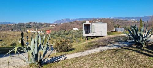 a small house on top of a hill with plants at Villa San Biagio Residence in Mason Vicentino