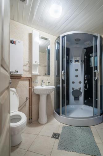 a bathroom with a shower and a toilet and a sink at Apartment Maksi-Centar in Zlatibor