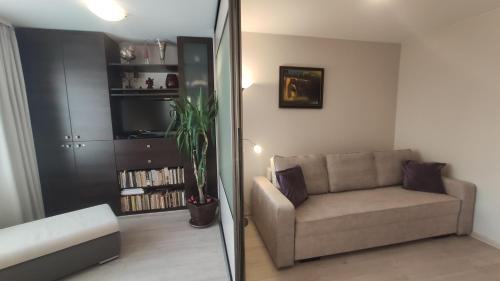 Audringa 휴식 공간