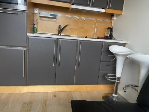 a kitchen with gray cabinets and a sink at Oslo Center 5 in Oslo