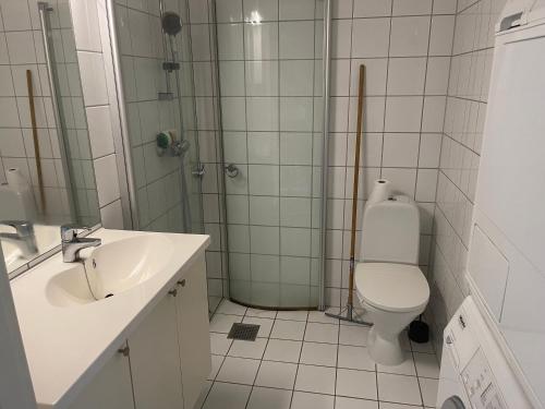 a bathroom with a toilet and a sink and a shower at Oslo Center 5 in Oslo