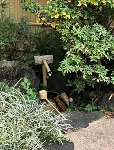 a garden with a bench and rocks and plants at Eishinan 栄進庵 in Fuji