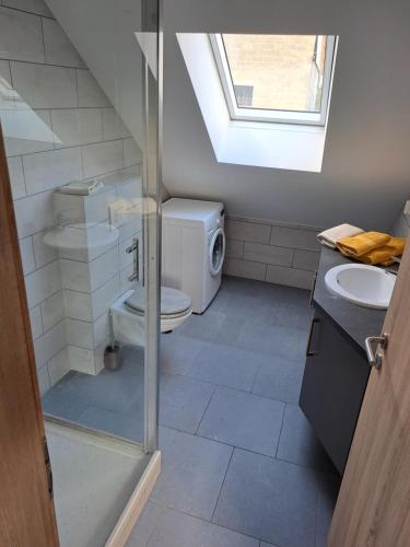 La petite salle de bains est pourvue de toilettes et d'un lavabo. dans l'établissement La Ferme Villa, à Bastogne
