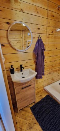 a bathroom with a sink and a mirror at Ostoja Będzyn- Wypoczynek nad Pilicą in Piotrków Trybunalski