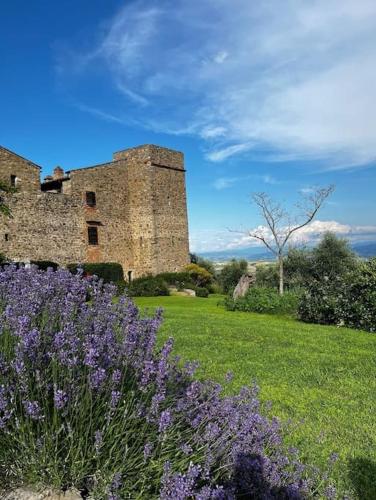 a castle with a field of purple flowers in front of it at Medieval Tower in Umbria with Swimming Pool in Monte lʼAgello