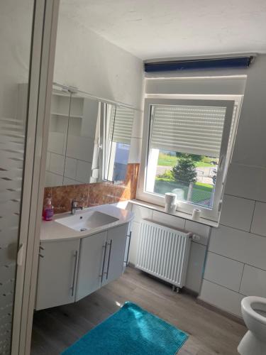 a bathroom with a sink and a window at Apartament mit Schlafzimmer in Hugsweier