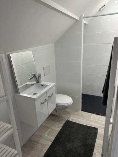 een badkamer met een wastafel, een toilet en een spiegel bij appartement centre ville LILLEBONNE 2eme etage in Lillebonne