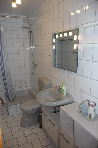 uma casa de banho com um lavatório, um WC e um espelho. em Appartement 2 Schlafzimmer, Terrasse, Hund, Kamin em Bodenwerder