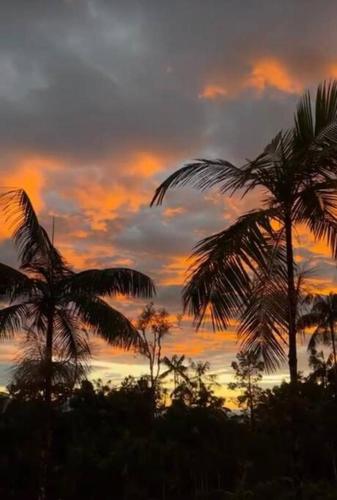 two palm trees in front of a sunset at Casa da Pedra Serrinha in Resende