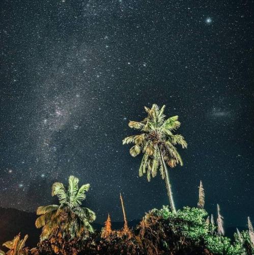 two palm trees in front of a starry sky at Casa da Pedra Serrinha in Resende
