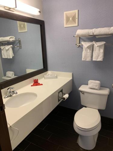 ein Badezimmer mit einem Waschbecken, einem WC und einem Spiegel in der Unterkunft Albany Airport Inn in Albany