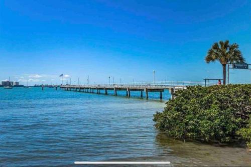 un muelle sobre el agua con una palmera en In the Center of Gulfport, Min Away From the Beach!, en San Petersburgo