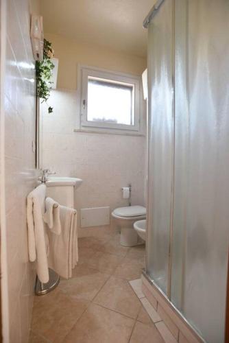 a bathroom with a shower and a toilet and a window at Romantic Home in Pula