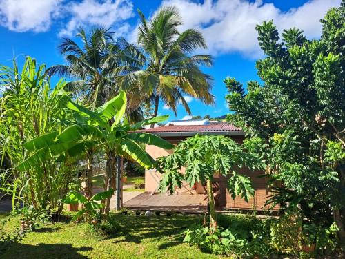 una casa con palmeras delante en Studio Perle de Zanzibar Trois-Ilets en Les Trois-Îlets
