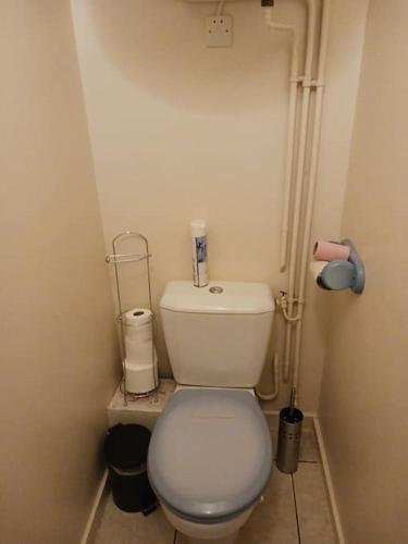 Elle comprend une petite salle de bains pourvue de toilettes blanches. dans l'établissement saint jean de mont, Superbe studio balcon face mer, à Saint-Jean-de-Monts