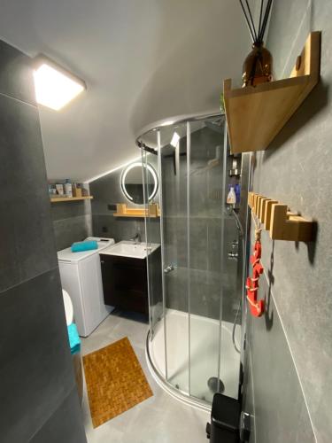 a bathroom with a shower and a sink at Rodinný apartmán Za Školou in Rokytnice nad Jizerou