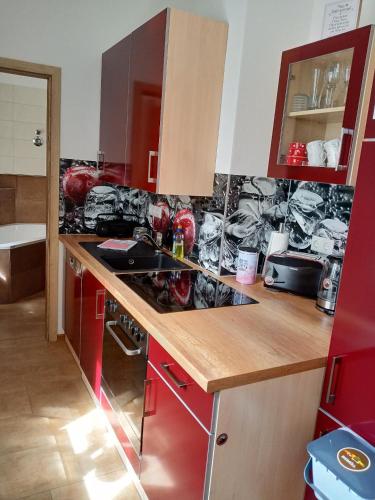 a kitchen with red cabinets and a counter top at Ehem. Sächsisch-Bayrischer Hof in Pöhl