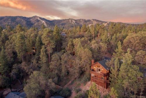 an aerial view of a house in the forest at Bearadise Retreat in Big Bear Lake