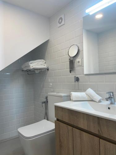 uma casa de banho com um WC, um lavatório e um espelho. em C9 Magnífico apartamento en zona tranquila em Madri