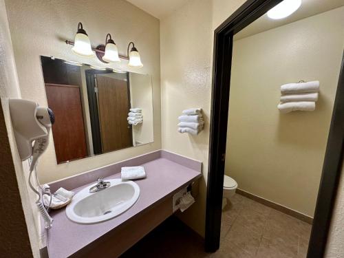 a bathroom with a sink and a mirror at FairBridge Inn & Suites Kellogg in Kellogg