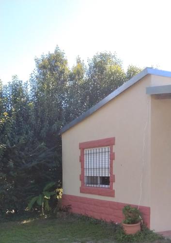 La lechuza – Photos 4