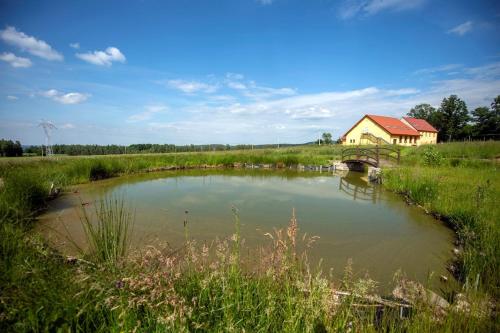 a pond in a field with a bridge and a building at Dom Na Leśnej Górze in Leśna