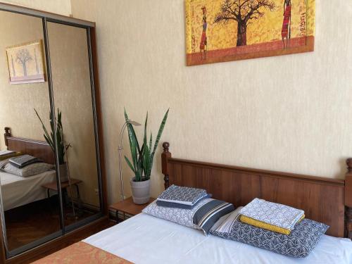 ヴィーンヌィツャにあるApartment close to Roshen fountainのベッドルーム1室(枕2つ、鏡付)