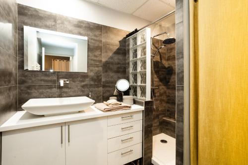 bagno con lavandino e specchio di Charmant logement Villefranche a Villefranche-sur-Saône