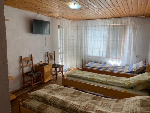 ドブリニシュテにあるTsvetkovi Guest Houseのベッドルーム1室(ベッド2台、テレビ、窓付)