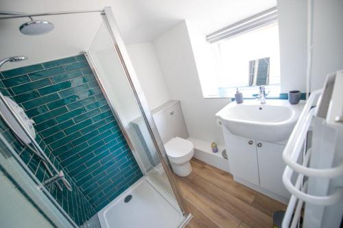 een badkamer met een douche, een toilet en een wastafel bij The Old Coach House in Aberaeron